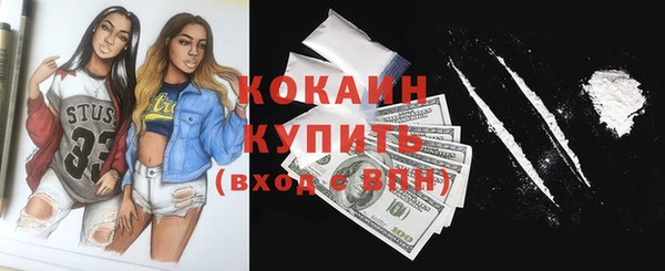 крисы Бронницы