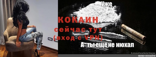 ECSTASY Богданович