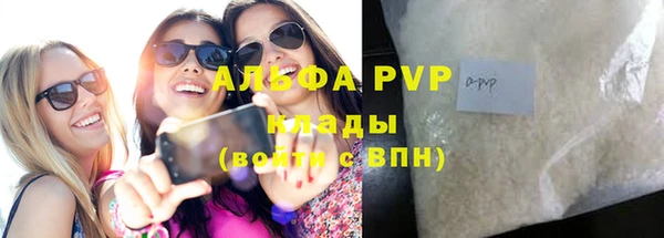 ECSTASY Богданович