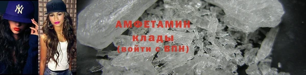 ECSTASY Богданович