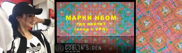 ECSTASY Богданович
