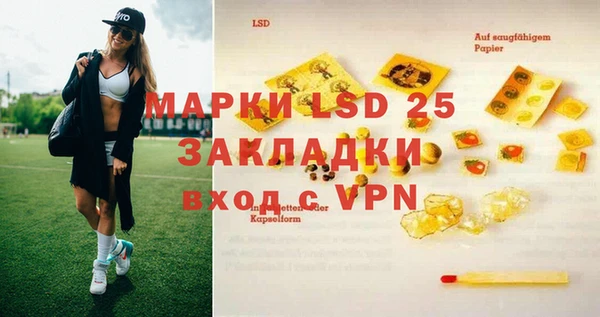 ECSTASY Богданович