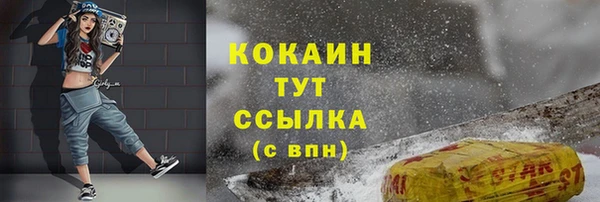 ECSTASY Богданович