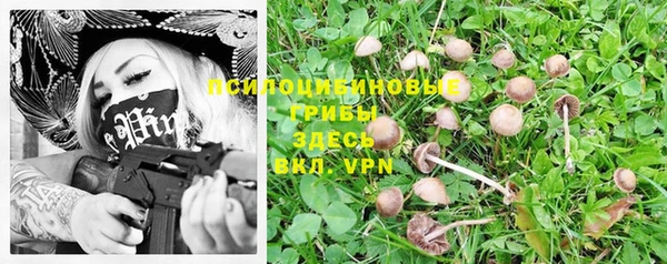 прущий лед Богородицк